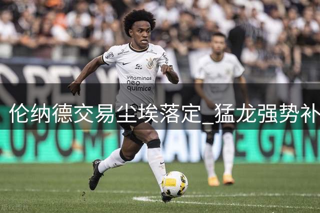 伦纳德交易尘埃落定 猛龙强势补强联盟格局生变